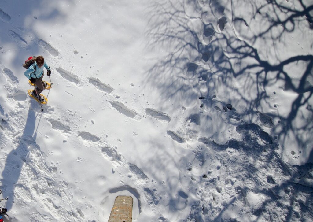 snow shoe hike, winter, sense-2875538.jpg